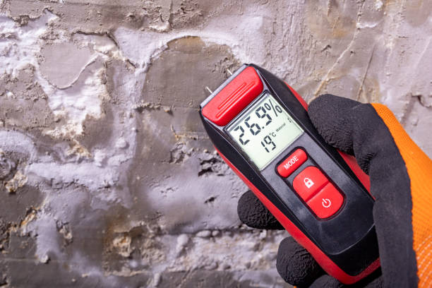 Professional Mold Removal in Cramerton, NC